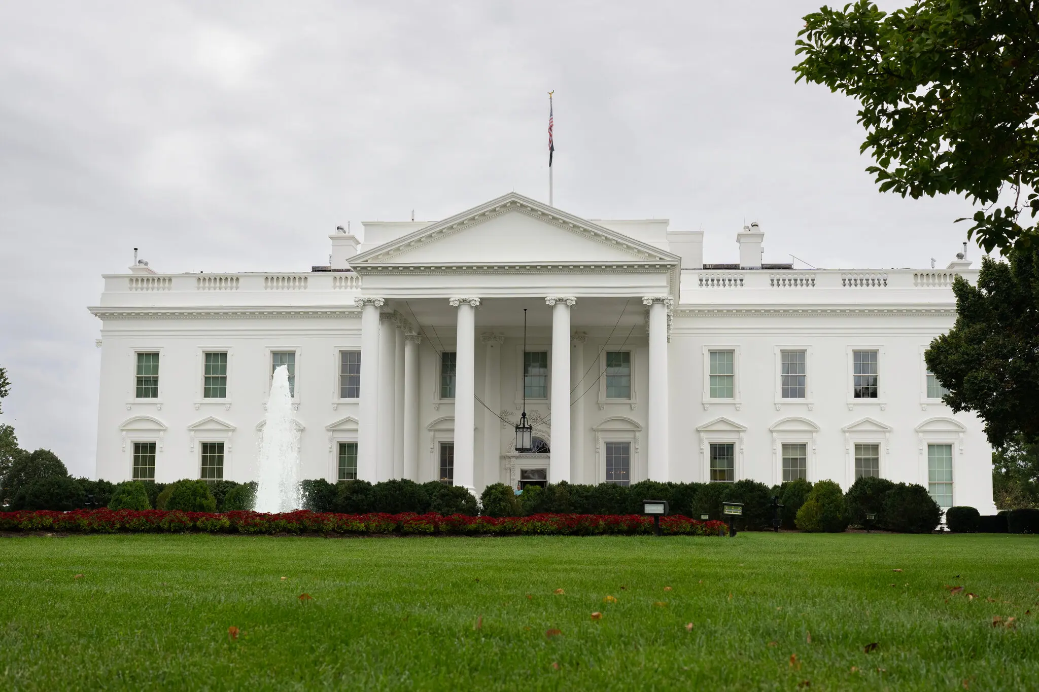 Чи закінчить Трамп війну в Україні за 90 днів: букмекери почали приймати ставки